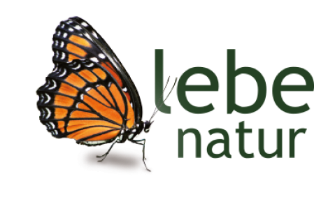lebe_contactlogo.png?ts=1726134950